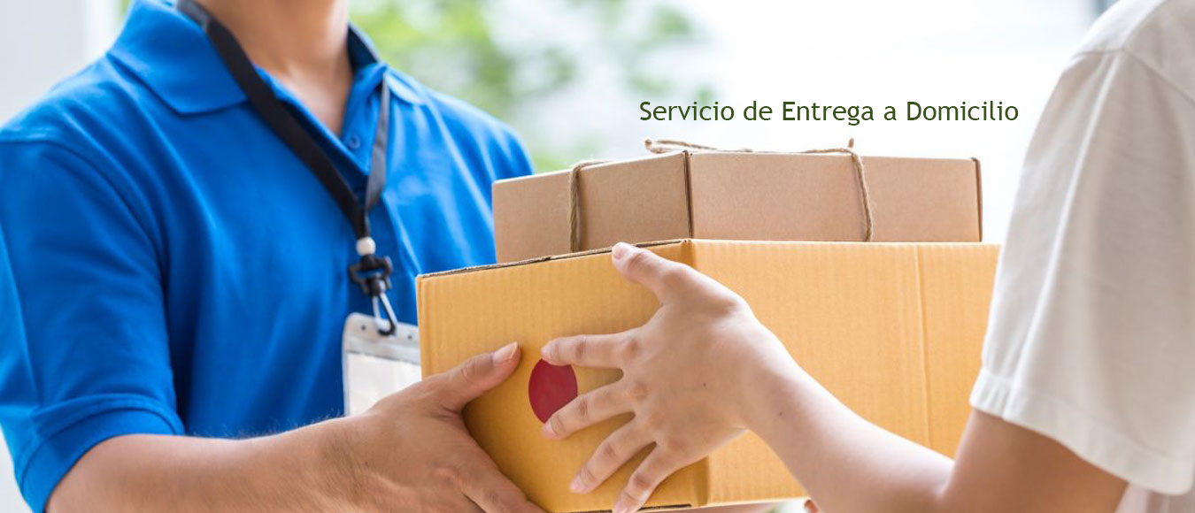 entrega  a domiclio